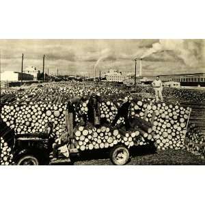  1939 Print Paper Mill Lumber Timber Spring Hill Louisiana 