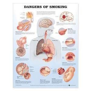 Dangers of Smoking   Laminated  Industrial & Scientific