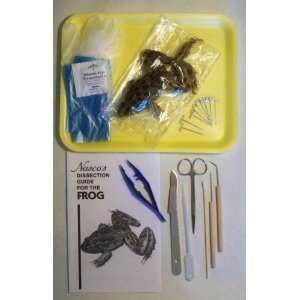  frog Dissection Kit with Guide, Tray, Tools and Preserved 