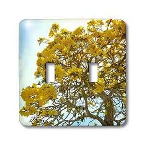   Trees   Big Yellow   Light Switch Covers   double toggle switch
