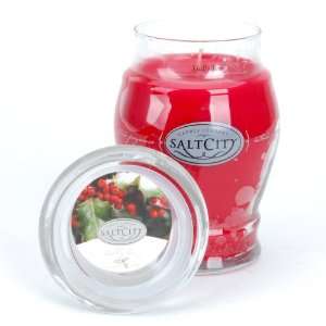  Holly Berry 26oz Candle By Salt City