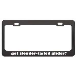 Got Slender Tailed Glider? Animals Pets Black Metal License Plate 