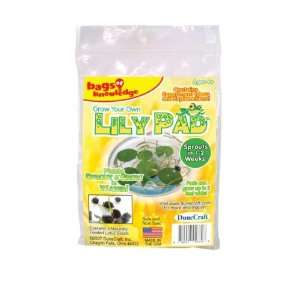  New   Grow Your Own Lily Pad Case Pack 24   715838 Toys 