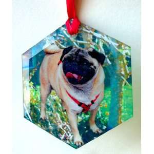  Pug Glass Suncatcher by Susan Rothschild