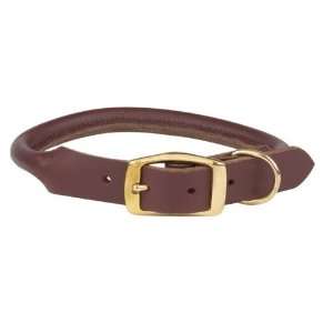  Casual Canine Rolled Leather Dog Collar, 18 to 20 Inch 