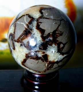Collection SUPERB Mineral SEPTARIAN SPHERE Crystal HOLE  
