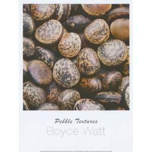   Pebble Textures   Poster by Boyce Watt (11.75x15.75)