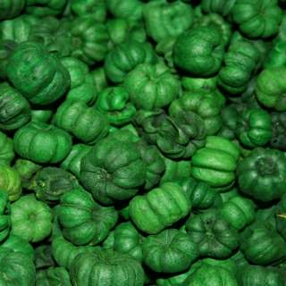 These green putka pods come in many different sizes, shapes and colors 