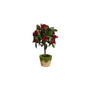  12 Mini Rose Topiary