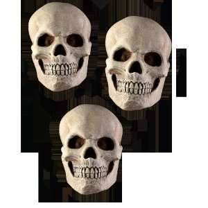  Skull Set Toys & Games