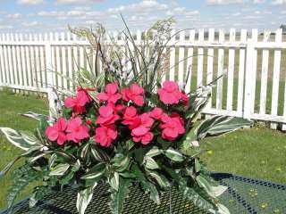 Green Plants Pink Impatiens Tombstone Saddle Flowers In Loving Memory 