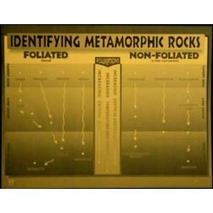  Metamorphic Rocks Student Reference Sheet pk/15 