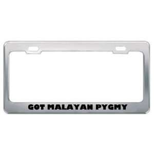 Got Malayan Pygmy Shrew? Animals Pets Metal License Plate Frame Holder 