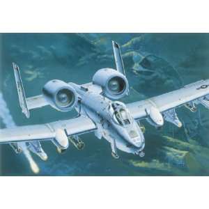  A10A Jaws Twin Engine Assault Aircraft (Plastic Models) Toys & Games