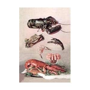  Shellfish 28x42 Giclee on Canvas