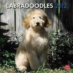  2012 Labradoodles Calendar