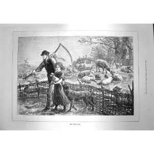  1873 Foster Lamb Sheep Farmer Animals Little Girl