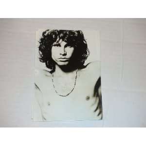   Vintage Collectible Postcard  The Doors Jim Morrison 