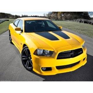  2011   2012 Dodge CHARGER 10 Twin Rally Stripes Stripe 