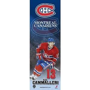  Frameworth Montreal Canadiens Mike Cammalleri 10X30 Plaque 