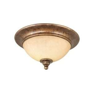    Vaxcel International Lighting Ceiling Light