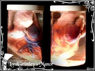 Heart in a Jar Halloween Prop Horror Haunted Scientist  