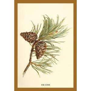   Framed Black poster printed on 20 x 30 stock. Fir Cone
