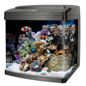 Coralife BioCube PC/LED Fish Tank, 14 Gallons, 17 L X 15.5 W X 16.7 