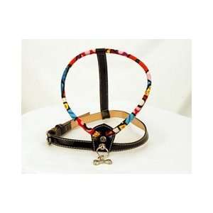 Donald Pliner Salsa Britto with Italian Patent Leather Dog Harness 