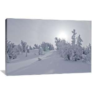 Winter Wonderland   Gallery Wrapped Canvas   Museum Quality  Size 36 