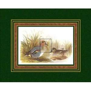  H. Jones   Ducks II Size 16x13   Poster by H. Jones (16x13 