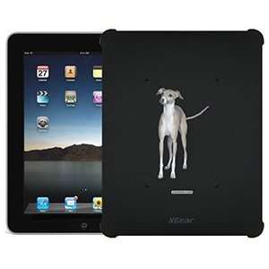  Italian Greyhound on iPad 1st Generation XGear Blackout 