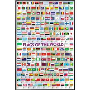  Flags of the World 2008 Lamina Framed Poster Print, 25x37 