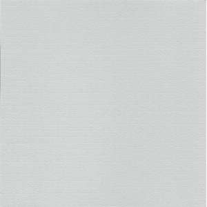  Cre8 a Page 12x12 Gray Cardstock, 25 Sheets, Card Stock 