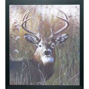  Wild Stag Deer Framed 3D Picture (2 pack)