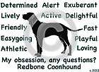 Redbone Coonhound Dog My Obsession, Any Questions? T shirt Original