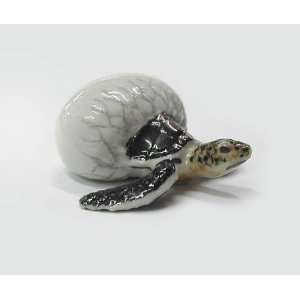  Northern Rose Black Sea Turtle Hatching Figurine