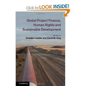  Global Project Finance, Human Rights and Sustainable 