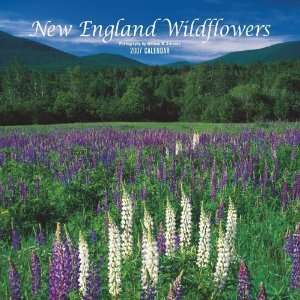 New England Wildflowers 2007 Calendar Browntrout Publishers 