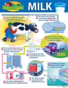 From Farm to Table   MILK Chart from TREND T 38198  