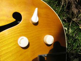  the wood separation and the input jack is recessed inside the guitar