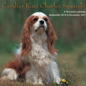  2011 Dog Calendars Cavalier King Charles Spaniels   16 