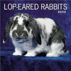  Lop eared Rabbits 2002 Wall Calendar (9780763137434 