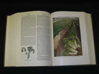Bailey   THE STANDARD CYCLOPEDIA OF HORTICULTURE   1943 3 Vols 