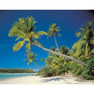 Brewster 8 884 Cook Island 8 Panel Mural with Paste, 12 Foot 1 Inch by 