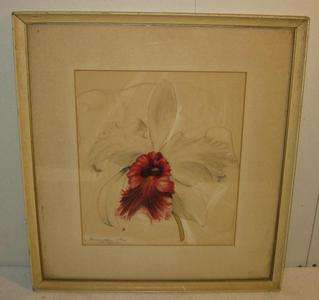 VINTAGE LISTED BRASSO CATTLEYA ORCHID FLOWER PAINTING  