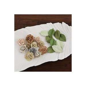   Paper Flowers/Leaves .75 To 1.5 12 Each river Rock 3Pk Home