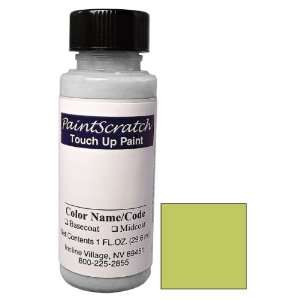  1 Oz. Bottle of Fine Sublime Metallic Touch Up Paint for 