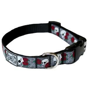  RC Pet Products 5/8 Inch Adjustable Dog Clip Collar, X Small, Roses 