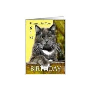    Birthday ~ Age Specific 61st ~ Cat in a box Card Toys & Games